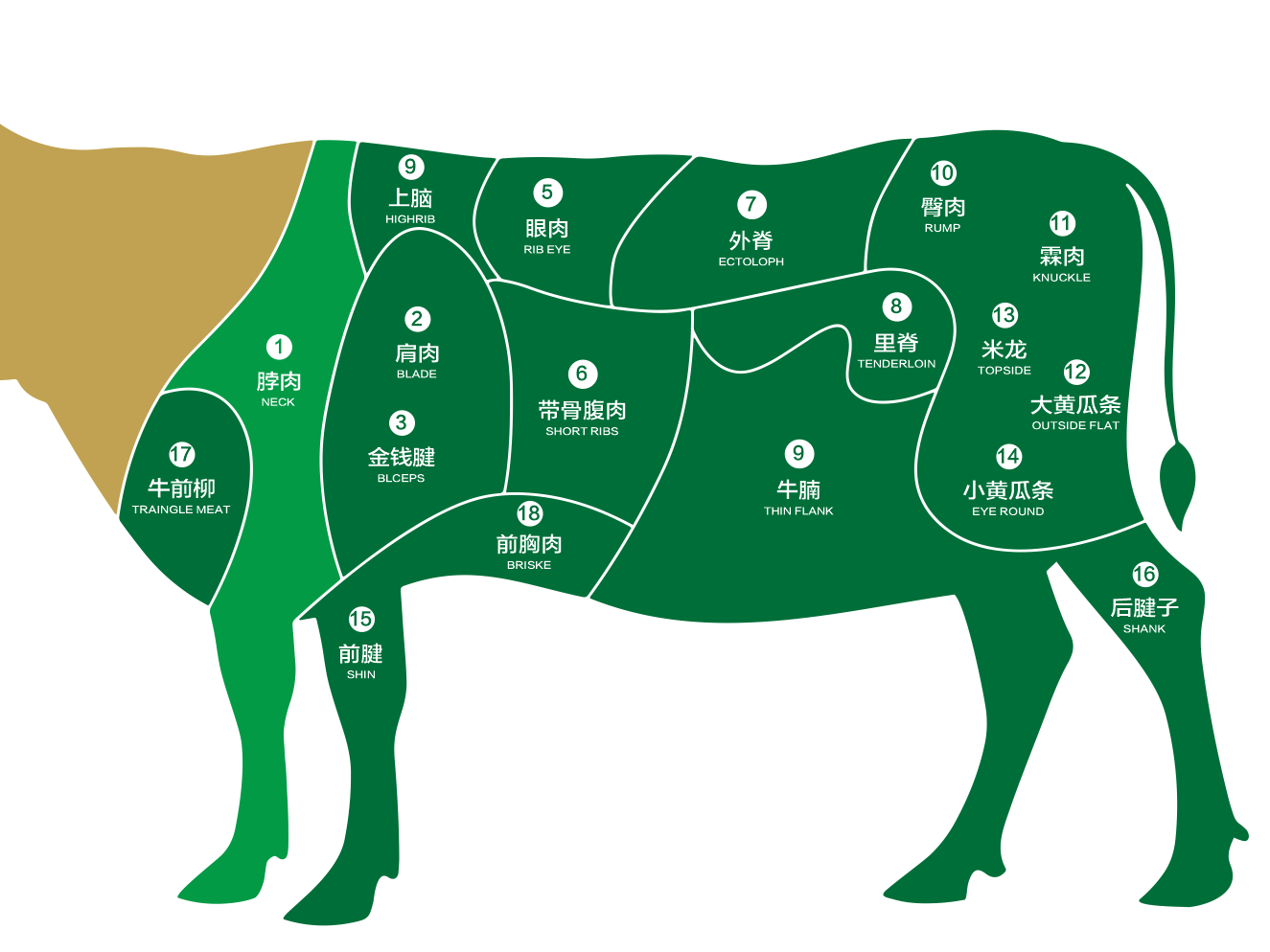干貨丨牛部位肉中英文名稱對(duì)照表